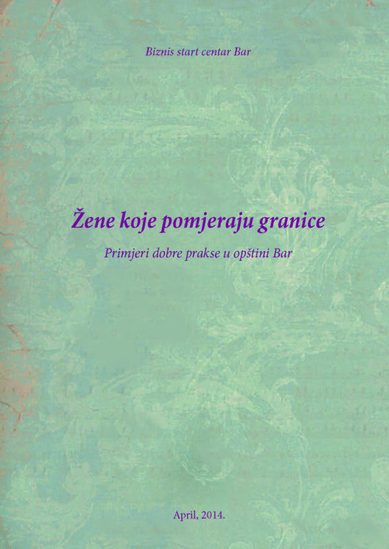 Women pushing boundaries, examples of successful practice in the Municipality of Bar