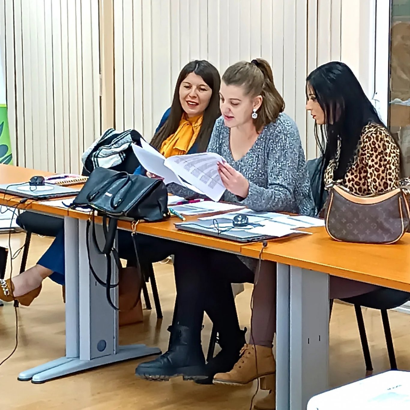 Training on Developing Gender-Sensitive Policies